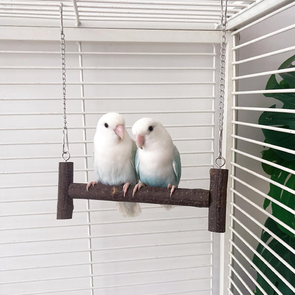 Natural Wood Parakeet Swing Toy, Cockatiel, Lovebird, Budgie Wooden Perch Stand, Small and Medium Bird Cage Accessories (Small)