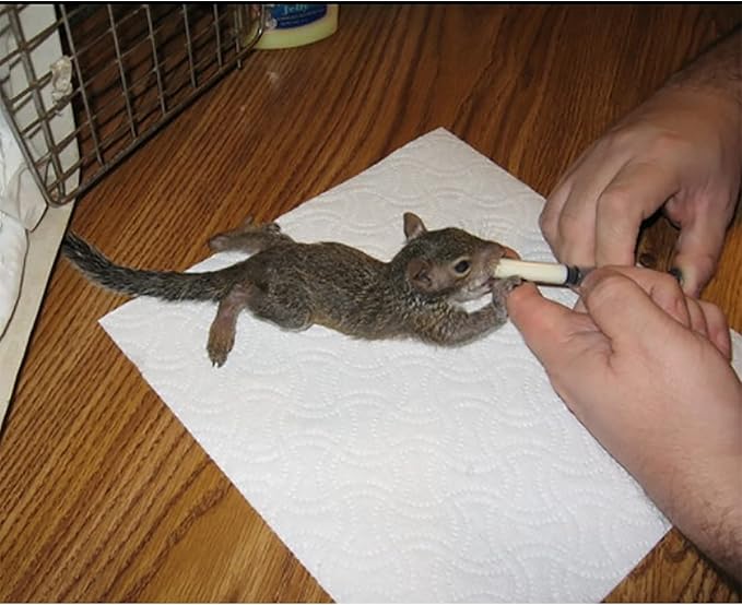 Exotic Nutrition Specialty Milk Replacer 8.8 Oz - - Healthy Powdered Formula - Ideal for Squirrel, Rabbit, Opossum, Raccoon