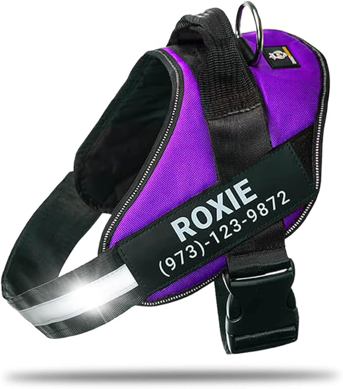 Personalized No-Pull Dog Harness with Name Patch, Adjustable, Reflective, Padded, Heavy Duty Pet Vest to Prevent Tugging, Pulling, or Choking, Training and Walking, Purple, S