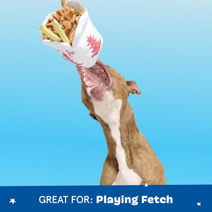 Barkbox Squeaky Dog Toys - Plush and Squeak Chew Toys | Puppy and Pet Toys for Small to Medium Dogs | Chow Chow Mein (Medium)