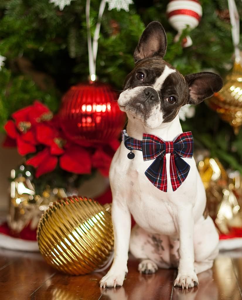 DOGWONG Cotton Dog Collar with Bowtie, Stylish Christmas Dog Bow Red Plaid Dog Collar Adjustable Puppy Necklace for Small and Medium Dogs