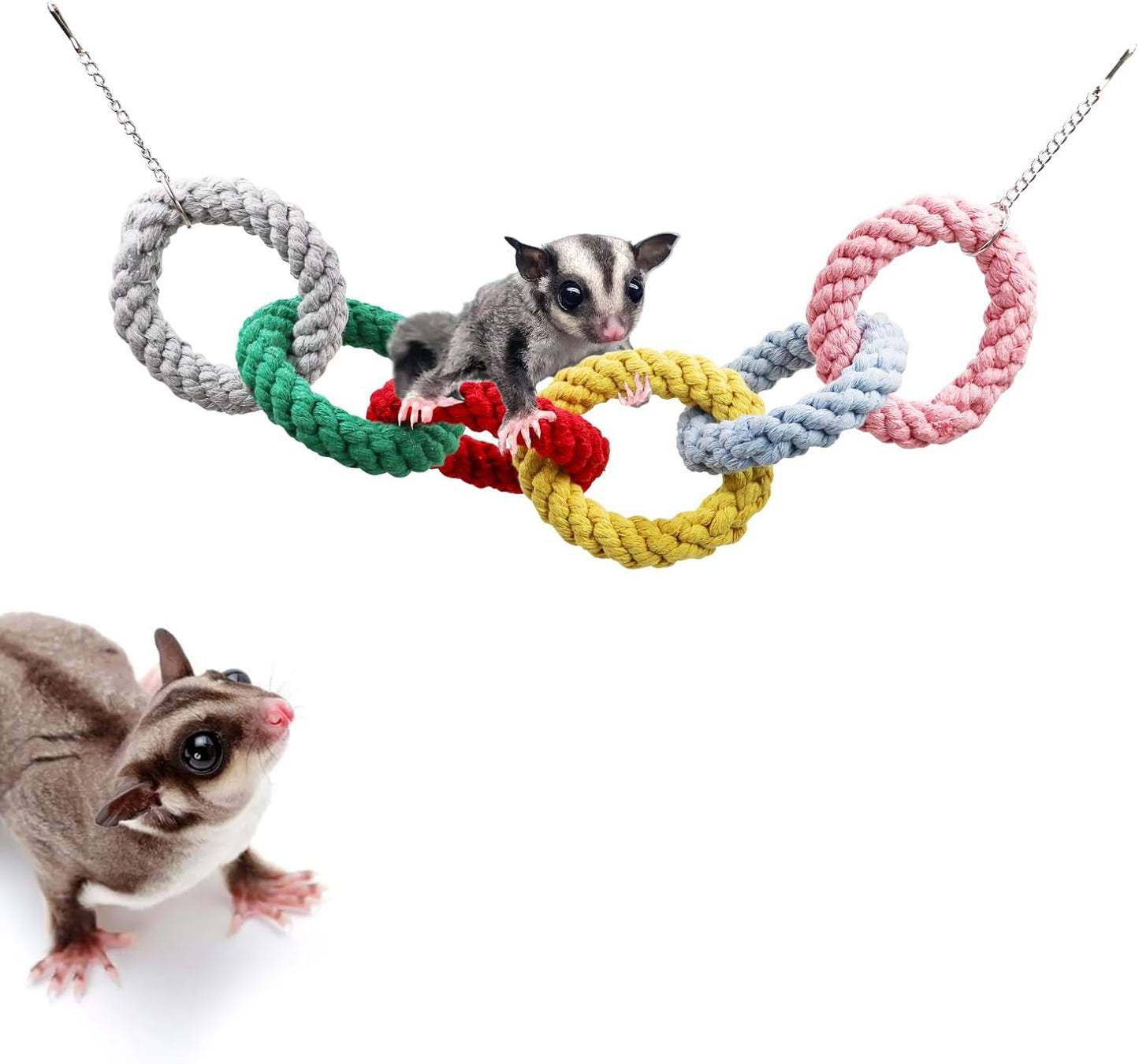Sugar Glider Hanging Toy - Colorful 6-Ring Climbing & Swing Set for Cages, Cage Accessories for Small Animals Birds Parrots Parakeets Cockatiels Ferrets Hamsters Rats