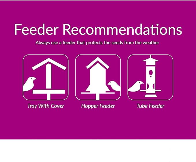 Desert Valley Sunflower Hearts and Chips Seed, All Natural, Non-GMO Premium Wild Bird and Wildlife Food (5 Pounds)