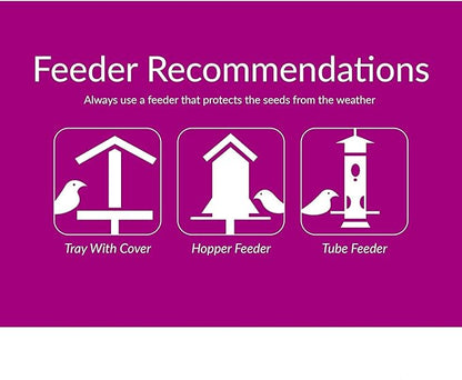 Desert Valley Sunflower Hearts and Chips Seed, All Natural, Non-GMO Premium Wild Bird and Wildlife Food (3 Pounds)