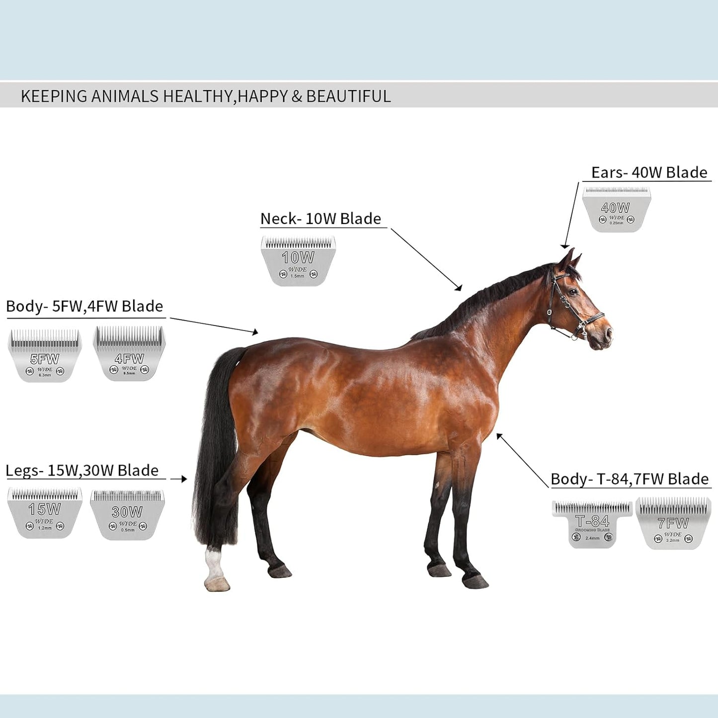 5FW Pet Dog Grooming Detachable Wide Blades,Compatible with Andis,Oster A5,Wahl KM10 Clippers,Cut Length 1/4"(6.3mm)