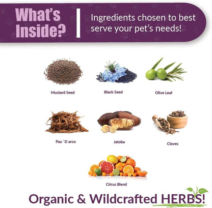 Amber NaturalZ Kochi Free Herbal Supplement for Dogs, Cats, Birds, Guinea Pigs, and Rabbits | Pet Herbal Supplement for Healthy Stool Support | 1 Fluid Ounce Glass Bottle | Manufactured in The USA