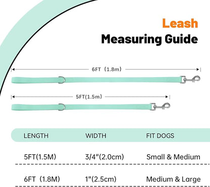 Waterproof Dog Leash, 5/6 FT Durable Odor-Proof Dog Leashes with Strong Metal Hooks Fits Small Medium or Large Dogs (Mint Green, 5FT - 3/4 inch Width)