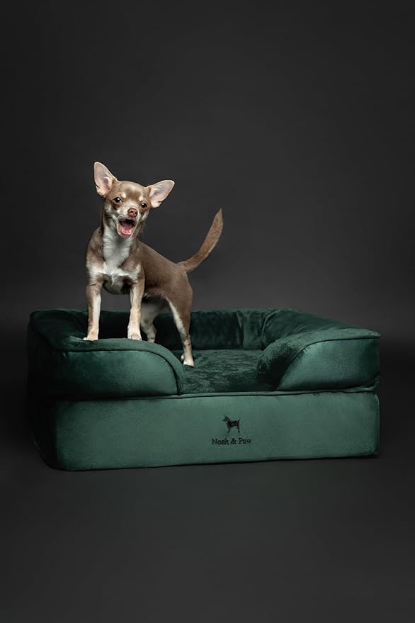NOAH & PAW Dog Bed, 28x23x11 Inch, Orthopedic Dog Beds for Medium Size Pets, Eggshell Memory Foam Infused with Cooling Gel, Inner Cover, Waterproof, Machine Washable (Velvet Sofa Collection)