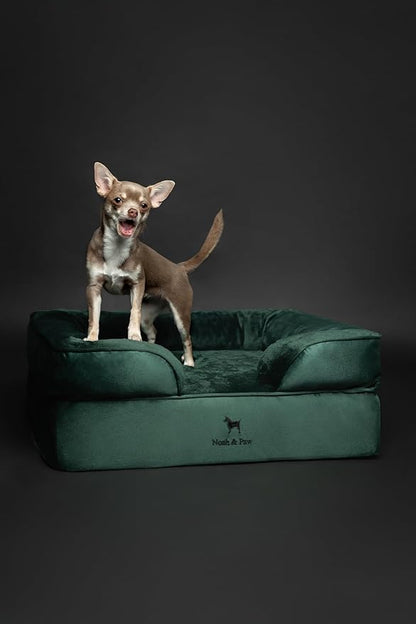NOAH & PAW Dog Bed, 28x23x11 Inch, Orthopedic Dog Beds for Medium Size Pets, Eggshell Memory Foam Infused with Cooling Gel, Inner Cover, Waterproof, Machine Washable (Velvet Sofa Collection)