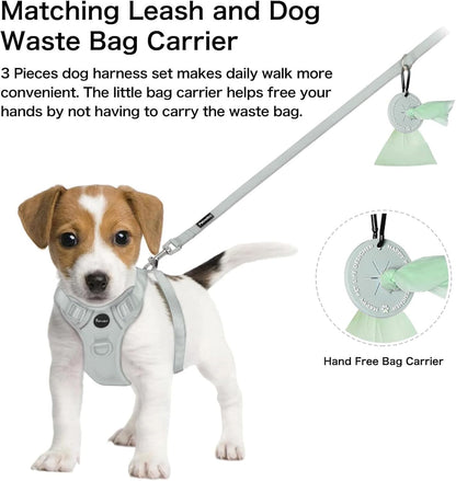 Petmolico No Pull Cute Dog Harness for Small Dogs, with Two Leash Clips and Soft Handle, Reflective Easy Walk Dog Harness- Light Green,Small