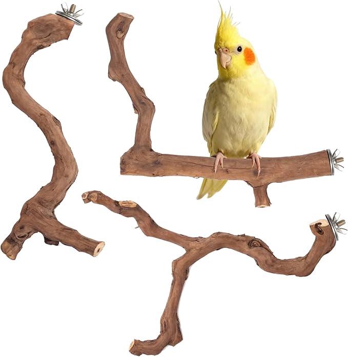 3-Piece Premium Bird Perch Stand with Natural Grape Wood Branch, Paw Grinding Fork, Chewing Stick, Cage Accessories for Parakeets, Budgies, Cockatiels, Finches, Lovebirds
