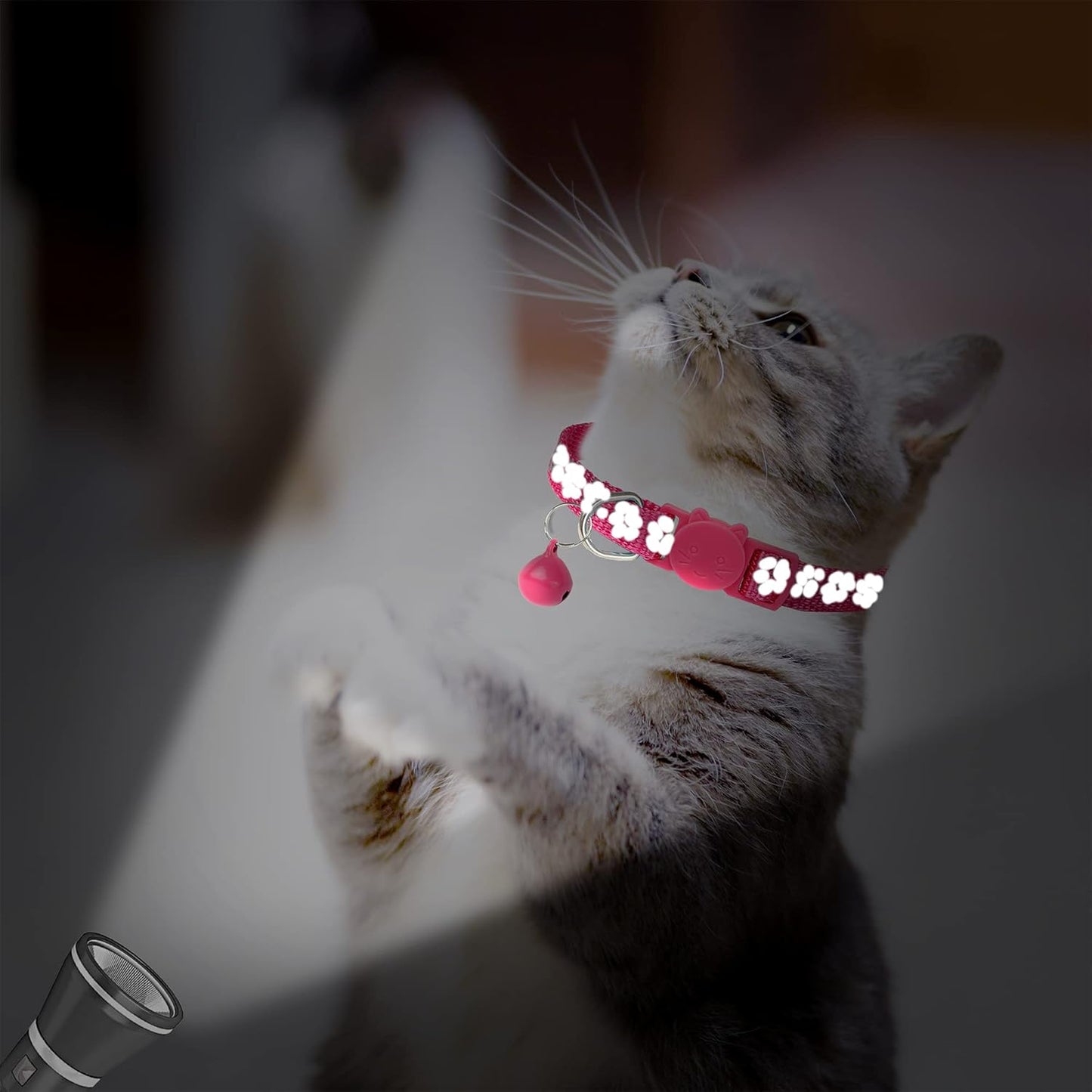 BANMODER 2 Pack Reflective Cat Collar Breakaway with Bell,Personalized Kitten Collars,Adjustable Safety Buckle Collar for Male Cats Girls & Boys (Hot Pink)