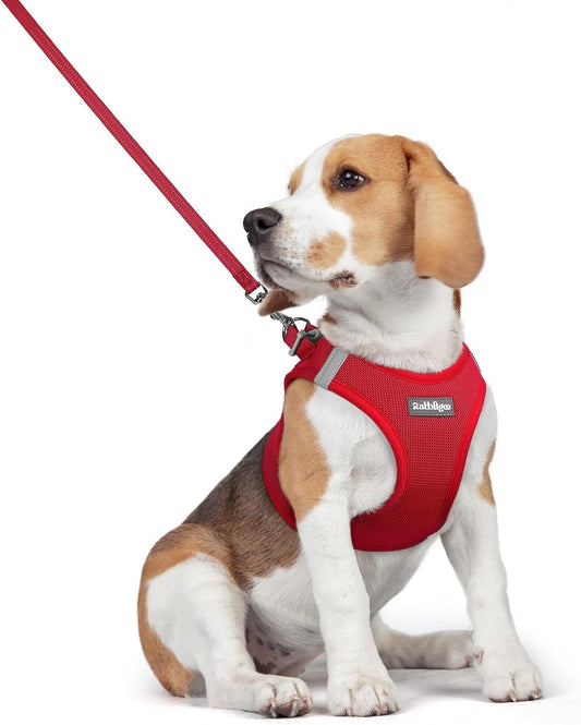 rabbitgoo Dog Harness Small Medium Sized and Leash Set, Step in Soft Light Puppy Vest, Breathable Mesh Pet Harness, Reflective for Safe Easy Walking, Red L