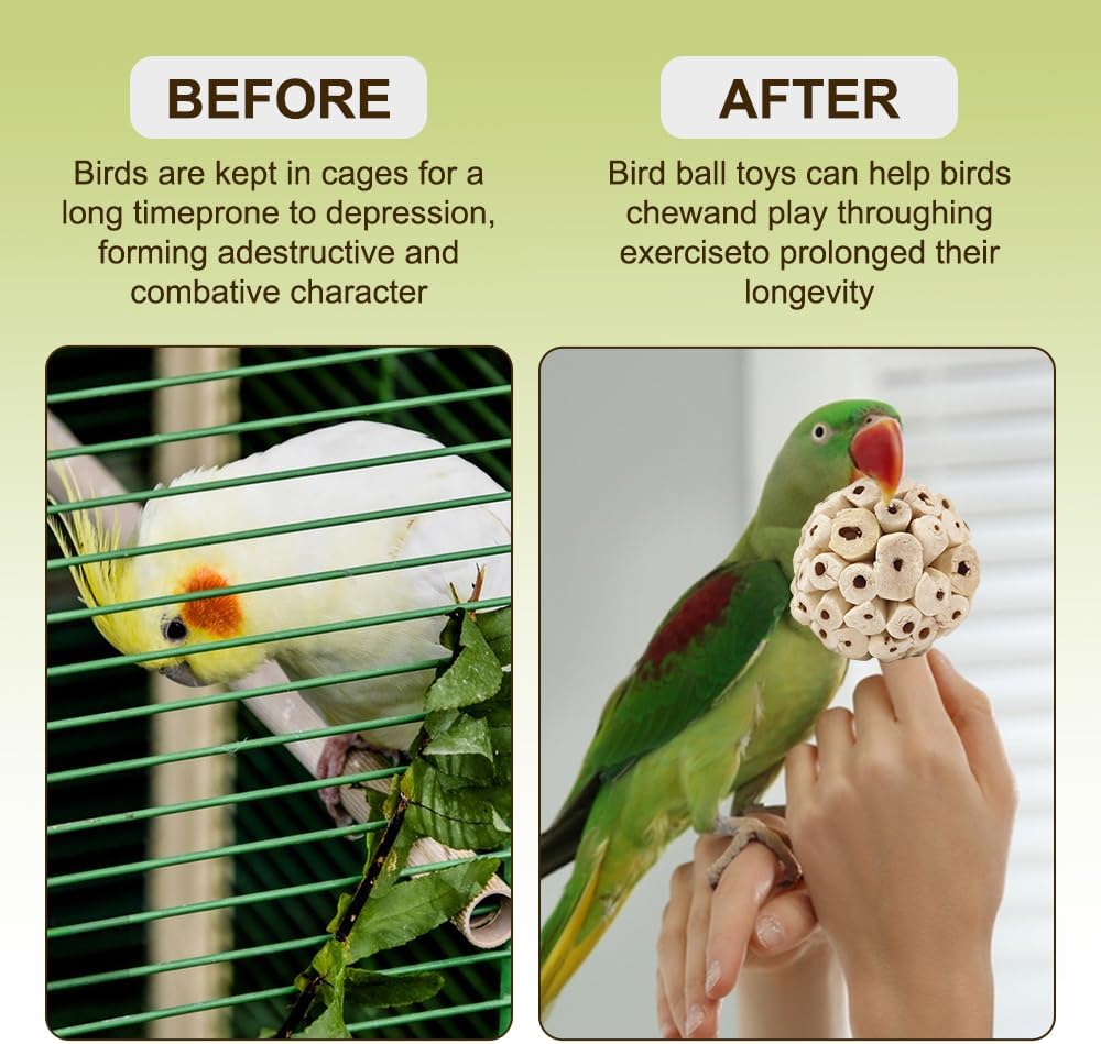 7Pcs Bird Toys for Parrots - Natural Soft Chew Shredding & Foraging Toy for Cockatiel Conure Quaker Parrot Budgie Parakeet Rabbit Bunny Guinea Pig Chinchilla