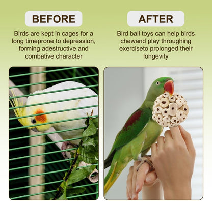 7Pcs Bird Toys for Parrots - Natural Soft Chew Shredding & Foraging Toy for Cockatiel Conure Quaker Parrot Budgie Parakeet Rabbit Bunny Guinea Pig Chinchilla