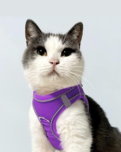 Joytale Small Dog Harness, Breathable Mesh Step-in Vest, Reflective Soft Padded Harnesses for Cats, Puppies and Extra Small Dogs, Purple, XXS