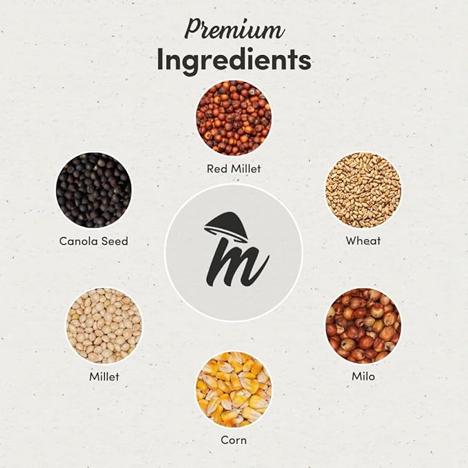 Mycelium Wild Bird Plus Feed (5 LBS) | Organic, Shell-Free Bird Seed for Doves, Pigeons, Quail & Game Birds | Clean, Low-Mess Wild Bird Food for Outside Feeders | No Sunflower | Non-GMO, Made in USA