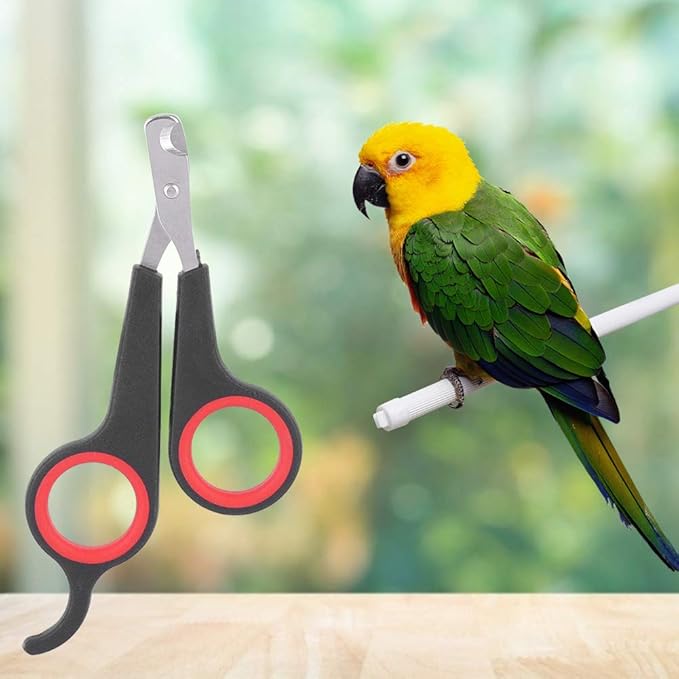 Cat Nail Clipper, Pet Nail Trimmers Bird Claw Scissors Stainless Steel Parrot Cage Essential Grooming Tool for Small Animals Ferrets Bunny Kitten Hamsters Rabbit Puppy Precision Sharp Cut