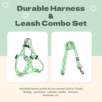 QQPETS Dog Harness Leash Set Adjustable Heavy Duty No Pull Halter Harnesses for Small Medium Large Breed Dogs Back Clip Anti-Twist Perfect for Walking