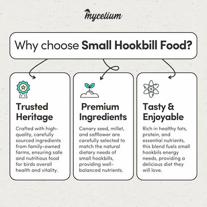 Mycelium Small Hookbill Food | Organic Bird Seed for Conures, Cockatiels, Lovebirds | Premium Mix with Pumpkin Seed, Buckwheat, Oat Groats, & Hemp | Supports Feather & Bone Health | Non-GMO 5 lb Bag