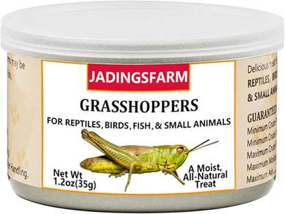 6 Pack Canned Grasshoppers for Reptiles, Fish, Birds and Small Animals, Grasshoppers, Healthy High Protein Treat, Bearded Dragon Food 7.2 Ounces Total