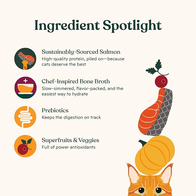 Made by Nacho Dry Cat Kibble 4lb Bag, High Protein and Grain-Friendly Premium Cat Food, Sustainably Caught Salmon and Pumpkin, Infused with Bone Broth for Hydration, Limited Ingredients, Single Bag