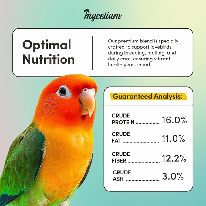 Mycelium Organic Lovebird Premier Feed (5 LBS) | Premium Bird Food for Lovebirds & Small Parrots | High-Protein, Vitamin-Fortified Daily Nutrition | Supports Brain & Heart Health | USA Made, Non-GMO