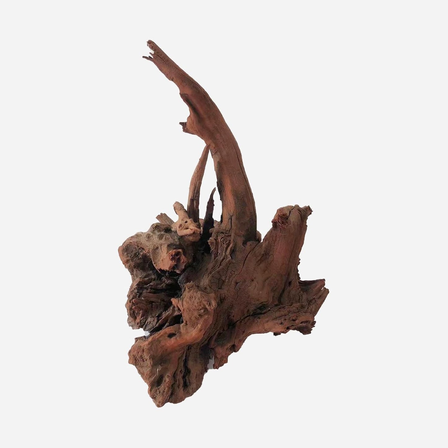 LYPHARD AQUARIUMS Natural Driftwood for Aquarium Decor, L11.81×W11.02×H15.75 Inches Large Drift Wood Decorations for Reptile Hide, Fish Tank, Optional Shapes