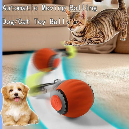 2 Pack Automatic Moving Dog Toy Ball,Smart Interactive Cat Toy Ball with Tail&Interactive Sensor,(Orange & Blue)
