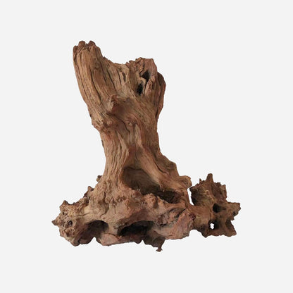 LYPHARD AQUARIUMS Natural Driftwood for Aquarium Decor, L12.99×W12.6×H13.39 Inches Large Drift Wood Decorations for Reptile Hide, Fish Tank, Optional Shapes