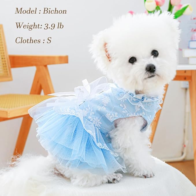 ANIAC Daisy Small Dog Dresses Female with Leash Ring,Bow Knot Girl Puppy Wedding Dress,Valentine's Cat Outfit,Fancy Pet Party Dress for Kitten Chihuahua Yorkie Pomeranian (Blue, Small)