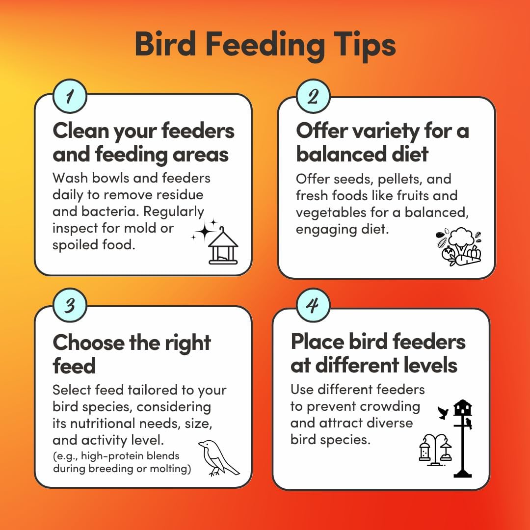 Mycelium Small Hookbill Feed (5 LBS) | Organic, Non‑GMO Bird Food for Cockatiels, Conures & Lovebirds | Filler‑Free with Hulled Seeds | Daily Energy, Skin & Feather Support | Made in USA