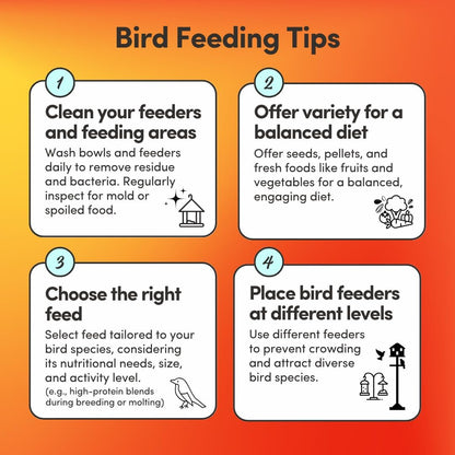 Mycelium Small Hookbill Feed (5 LBS) | Organic, Non‑GMO Bird Food for Cockatiels, Conures & Lovebirds | Filler‑Free with Hulled Seeds | Daily Energy, Skin & Feather Support | Made in USA