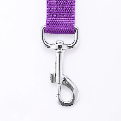 Strong Durable Nylon 10ft Long Dog Training Leash, Traction Rope, 1 Inch Wide, for Small and Medium Dog (Purple, 10 Feet)
