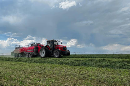 Fresh Alfalfa Hay 20Lbs by Bunny Honey - Natural Hay for Guinea Pigs, Rabbits, Hamsters, Hedgehogs, and More Small Animal Pets - Not Blended, Green Chopped & Delivered Fresh