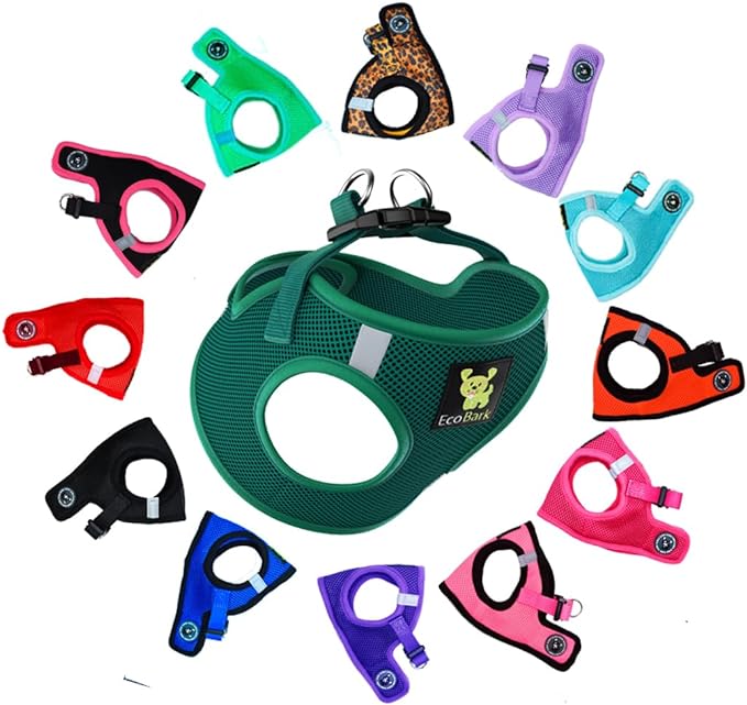 EcoBark Step in Dog Harness - Eco-Friendly Teacup Dog Harnesses for XXS, XS, and Small Breed Dogs - Reflective and Adjustable Mini Body Halter Vest -Tiny Soft Mesh Toy Breed Harness (Forest Green, XS)