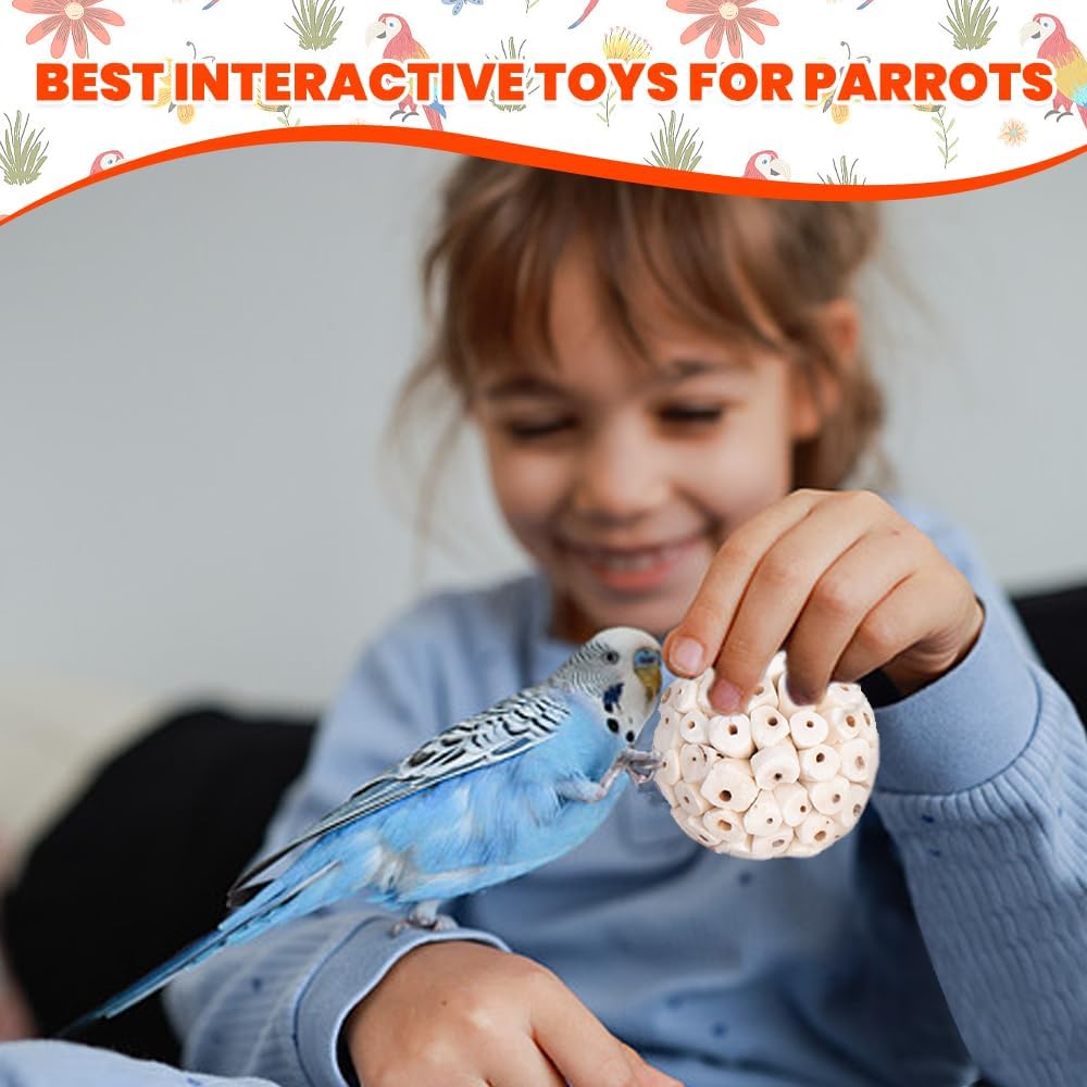 6 Pack Bird Toy Sola Balls, Natural Parrot Soft Chew Shredding & Foraging Toy, Bird Foot Balls for Cockatiel Conure Quaker Budgie Parakeet Bunny Guinea Pig Chinchilla Rabbit