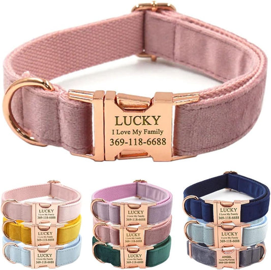 PETDURO Custom Dog Collar Personalized with Name Engraved Rose Gold Metal Buckle for Large Medium Small Girl Dogs - Dog Leash and Bow Tie Available - Soft Comfy Velvet (Champagne Pink RG, S)