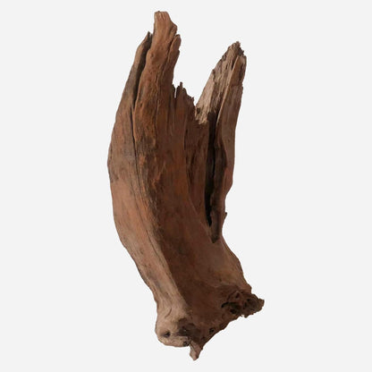 LYPHARD AQUARIUMS Natural Driftwood for Aquarium Decor, L12.99×W9.45×H18.9 Inches Large Drift Wood Decorations for Reptile Hide, Fish Tank, Optional Shapes