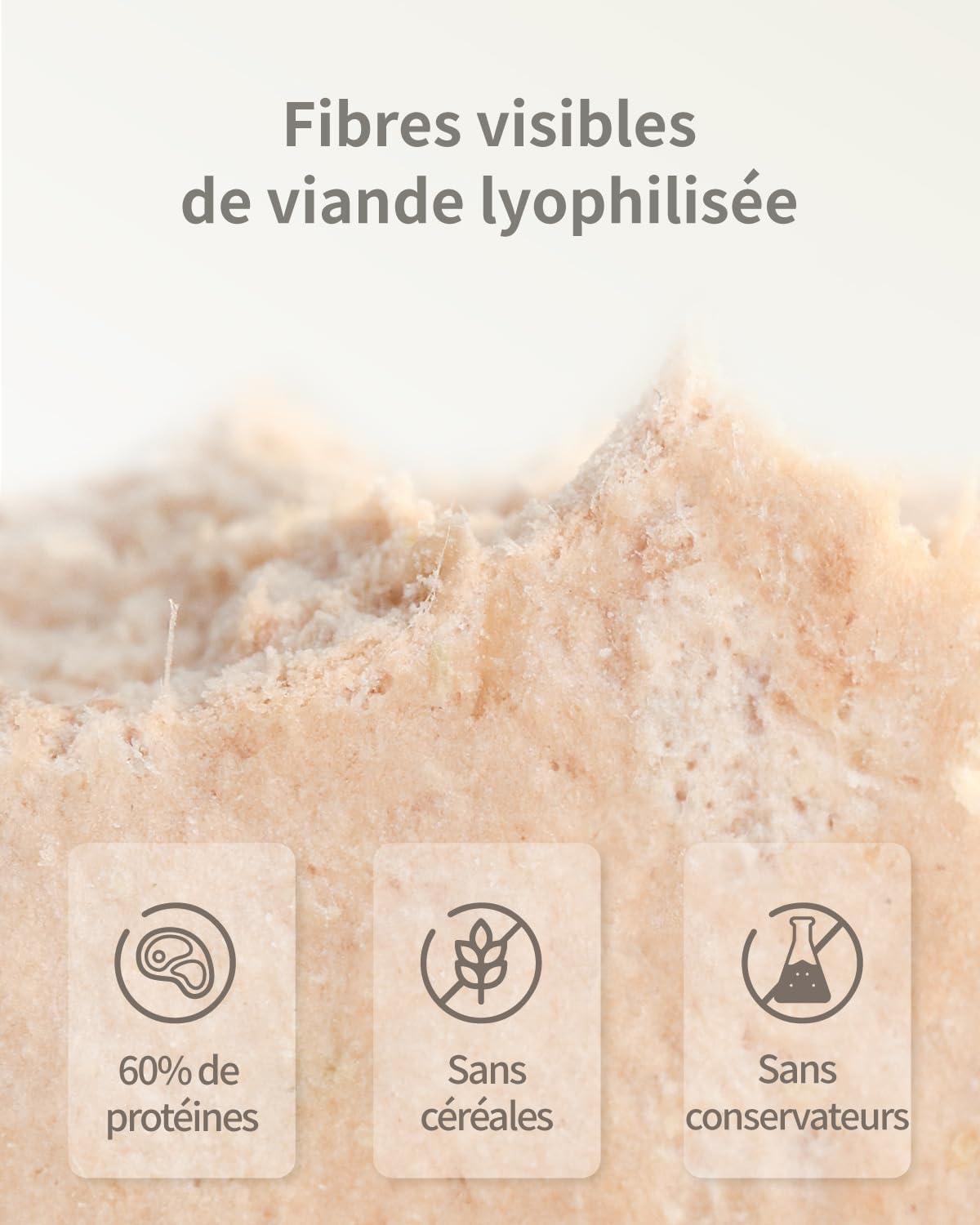 Freeze-Dried Cat Food, 97% Animal Origin Soft Dry Food for Cats Kitten, High Protein Healthy Freeze Dried Cats Raw Treat & Topper (Chicken & Duck - 14 Ounce)