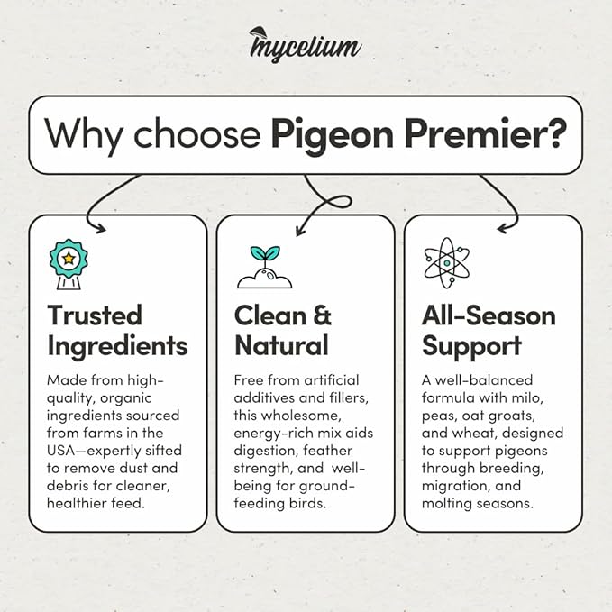 Mycelium Organic Pigeon Premier Feed (5 LB Bag) | High-Protein Wild Bird Food with Probiotics & Vitamins | Supports Strength, Gut Health & Daily Performance | Non-GMO, No Fillers, Made in USA