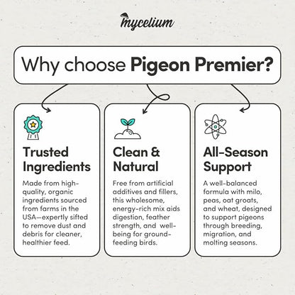 Mycelium Organic Pigeon Premier Feed (5 LB Bag) | High-Protein Wild Bird Food with Probiotics & Vitamins | Supports Strength, Gut Health & Daily Performance | Non-GMO, No Fillers, Made in USA