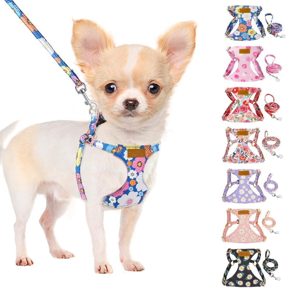 SlowTon No Pull Dog Harness with Leash - Soft Lightweight Floral Pattern Puppy Harness, Adjustable Pet Harness for Small Medium Dogs (Blue Flower XS)