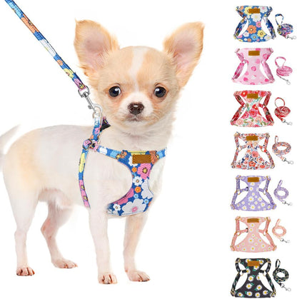SlowTon No Pull Dog Harness with Leash - Soft Lightweight Floral Pattern Puppy Harness, Adjustable Pet Harness for Small Medium Dogs (Blue Flower XS)