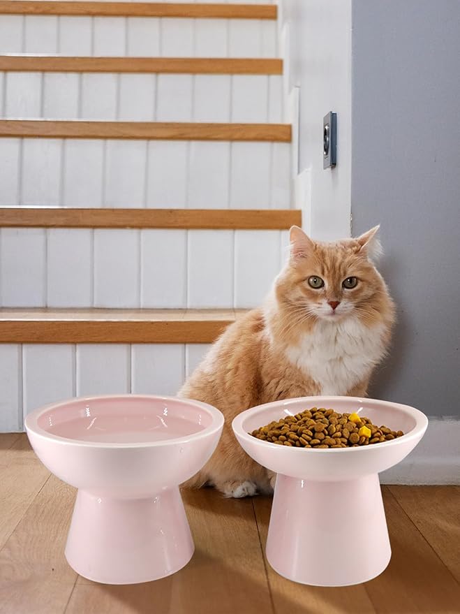 LoeJan Elevated Food and Water Bowls Set, Extra Wide and Raised Ceramic Feeder, Anti-Vomit Whisker-Free Pressure Feeding Bowl for Kittens Adult Cats Small Dogs (Pink, Food Bowl)