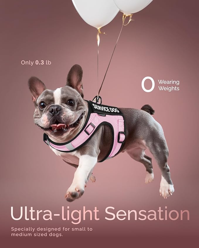 FAYOGOO Service Dog Vest for Small Dogs - Air Mesh Breathble Emotional Support Animal Vest with Velcro Patches - Puppy Harness and Leash Set Adjustable Neck and Chest