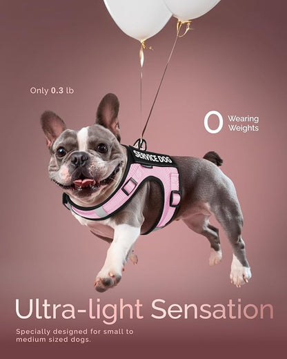 FAYOGOO Service Dog Vest for Small Dogs - Air Mesh Breathble Emotional Support Animal Vest with Velcro Patches - Puppy Harness and Leash Set Adjustable Neck and Chest