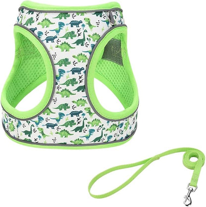 Step in Dog Harness and Leash Set, Flower Adjustable Easy Walk Puppy Harnesses, Soft Mesh Pet Vest Harness Small Size Dog Adjustable No Pull Dog Harness for Small Dogs and Cats(Dinosaur1, XS)