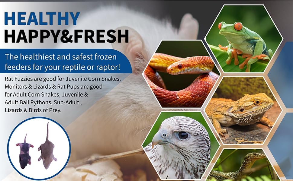 MiceDirect EST. 2003 Frozen Rat Combo Pack Rat Fuzzies & Pups Feeder Snake Reptile Food, 40 Ounce (80 Count)