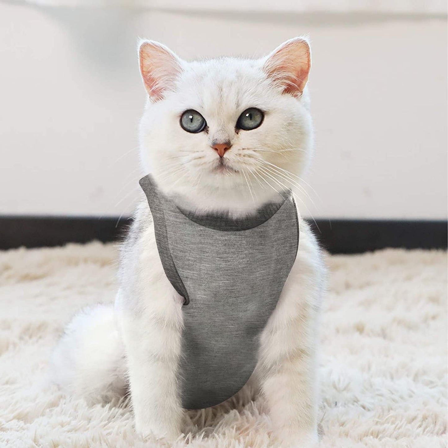 Kitten Onesies,Cat Recovery Suit for Abdominal Wounds or Skin Diseases,After Surgery Wear Anti Licking Wounds,Breathable E-Collar Alternative for Cat Grey M